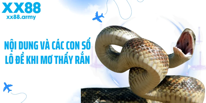 noi-dung-va-cac-con-so-lo-de-khi-mo-thay-ran
