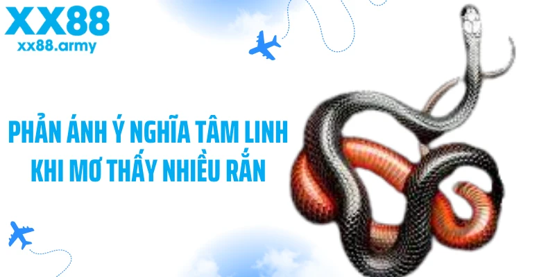 phan-anh-y-nghia-tam-linh-khi-mo-thay-nhieu-ran