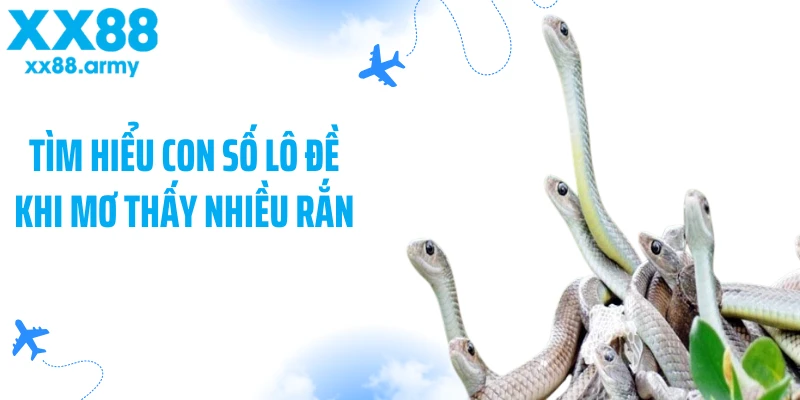 tim-hieu-con-so-lo-de-khi-mo-thay-nhieu-ran