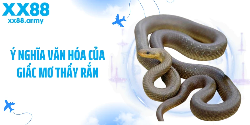 y-nghia-van-hoa-cua-giac-mo-thay-ran
