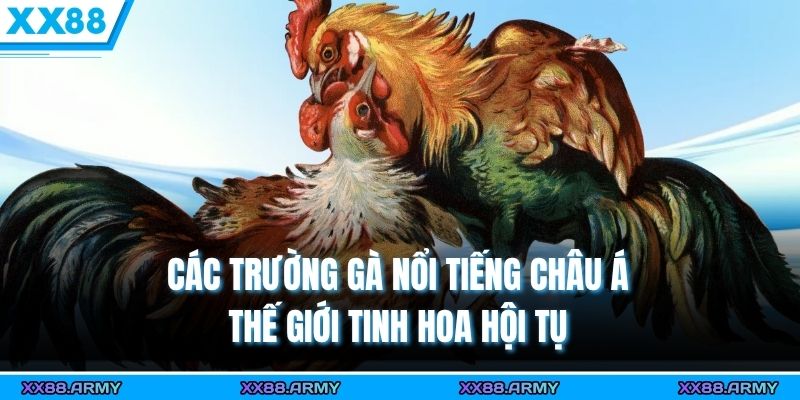 cac truong ga noi tieng chau a the gioi tinh hoa hoi tu
