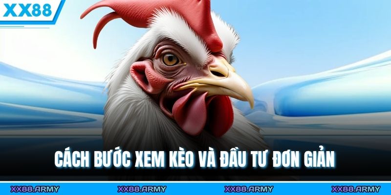 Cách bước xem kèo và đầu tư đơn giản 