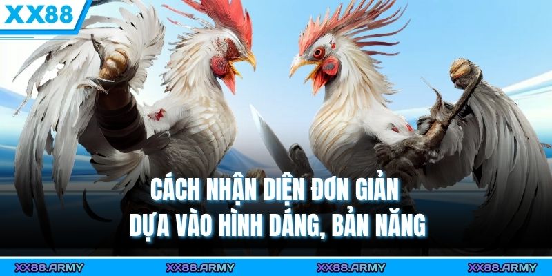 Cách nhận diện đơn giản dựa vào hình dáng, bản năng 