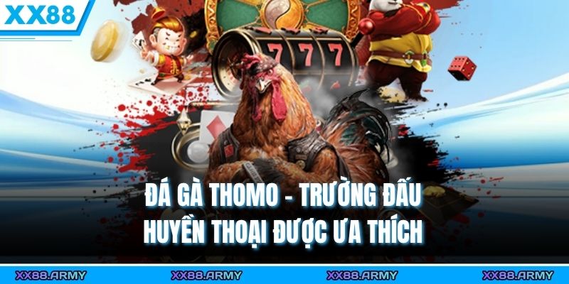 Đá gà Thomo - Trường đấu huyền thoại được ưa thích 