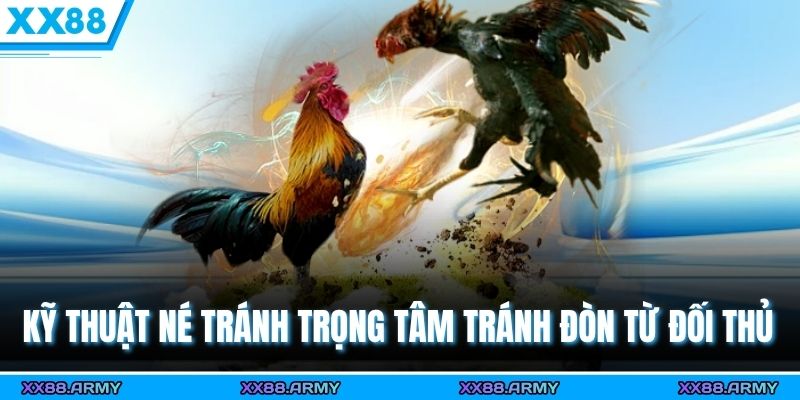 Kỹ thuật né tránh trọng tâm tránh đòn từ đối thủ 