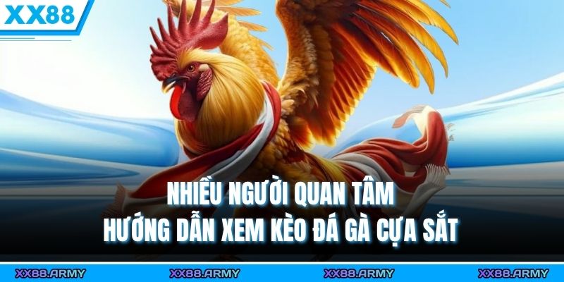 Nhiều người quan tâm hướng dẫn xem kèo đá gà cựa sắt