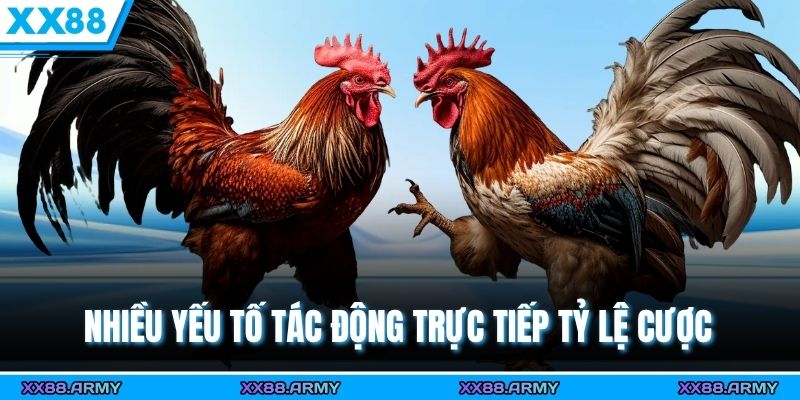 Nhiều yếu tố tác động trực tiếp tỷ lệ cược 