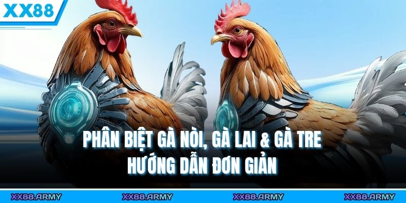 phan biet ga noi ga lai ga tre huong dan don gian