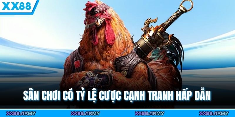 Sân chơi có tỷ lệ cược cạnh tranh hấp dẫn