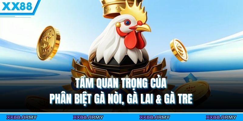 Tầm quan trọng của phân biệt gà nòi, gà lai & gà tre