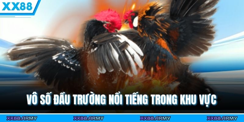 Vô số đầu trường nổi tiếng trong khu vực 