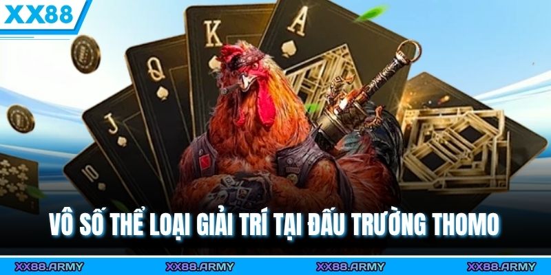 Vô số thể loại giải trí tại đấu trường Thomo 